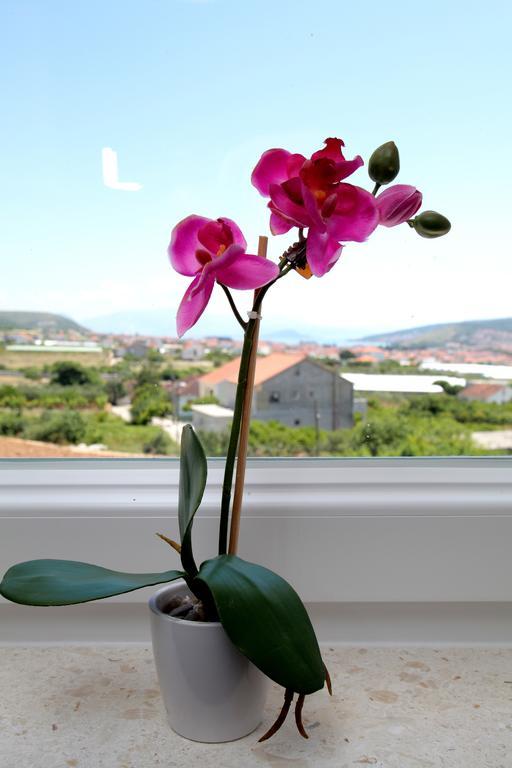 Apartment Carmen Traù Esterno foto